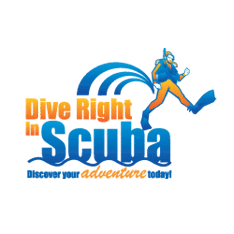 Women's AUG 450 Undergarment Package-Discontinued 4 Women's AUG 450 Undergarment Package-Discontinued - Image 2