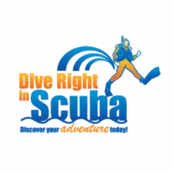 Versa BCD Combo System 2 -Diving Suit Co base img 6