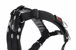 Dive Rite TransPac Single Tank Package 16 Dive Rite TransPac Single Tank Package -Diving Suit Co new transpac 2 3 1