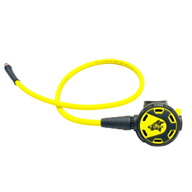 Hybrid Pro D1X BCD Package 9 Hybrid Pro D1X BCD Package - Image 7