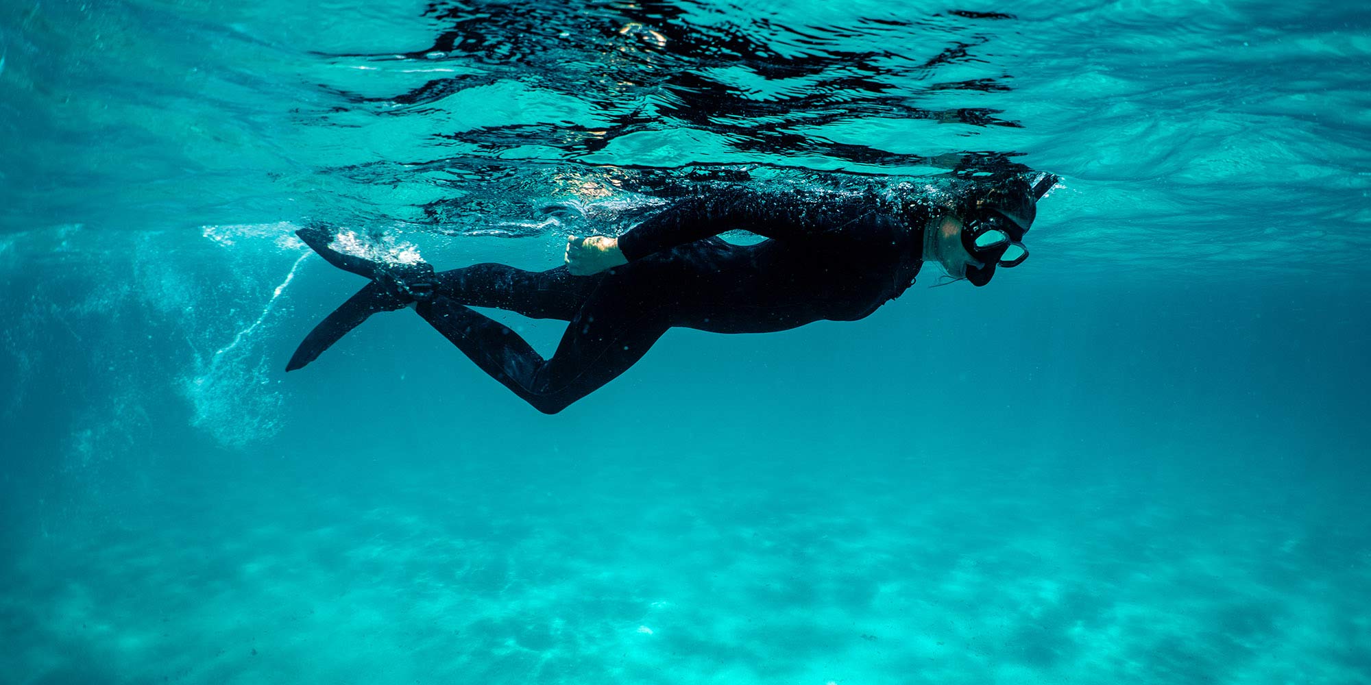 Diving Suit Co 2 Diving Suit Co -Diving Suit Co surface banner